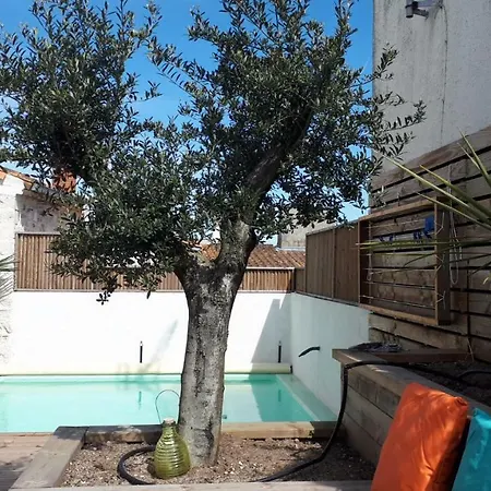 La Terrasse De La Tremblade La Tremblade